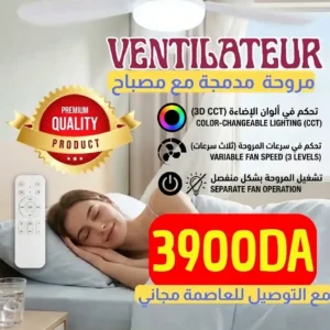 Ventilateur Plafond avec Lumière